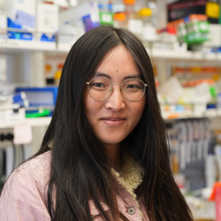 Photo of Avery Yang