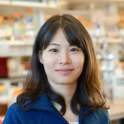 Photo of Tracy Yu