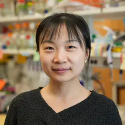 Photo of Anqi Chen