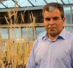 Photo of Mohsen Mohammadi