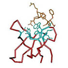 A folded, functional SH3 domain built largely from a five letter amino acid alphabet
