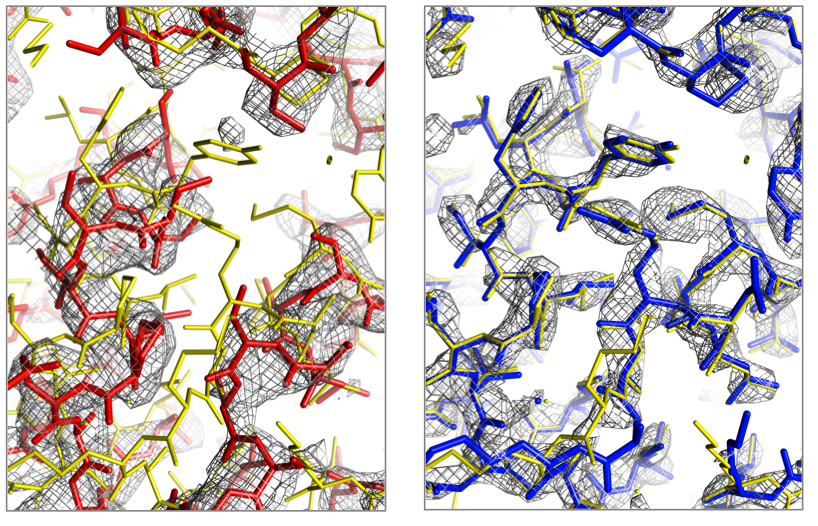 Improved molecular replacement by density- and energy-guided protein structure optimization