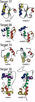 Blind ab initio structure prediction of CASP3 targets