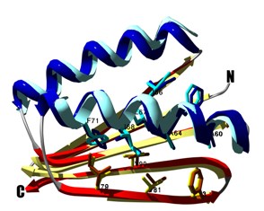 Design of a novel globular protein fold with atomic level accuracy