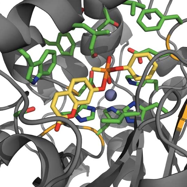 Computational redesign of a mononuclear zinc metalloenzyme for organophosphate hydrolysis