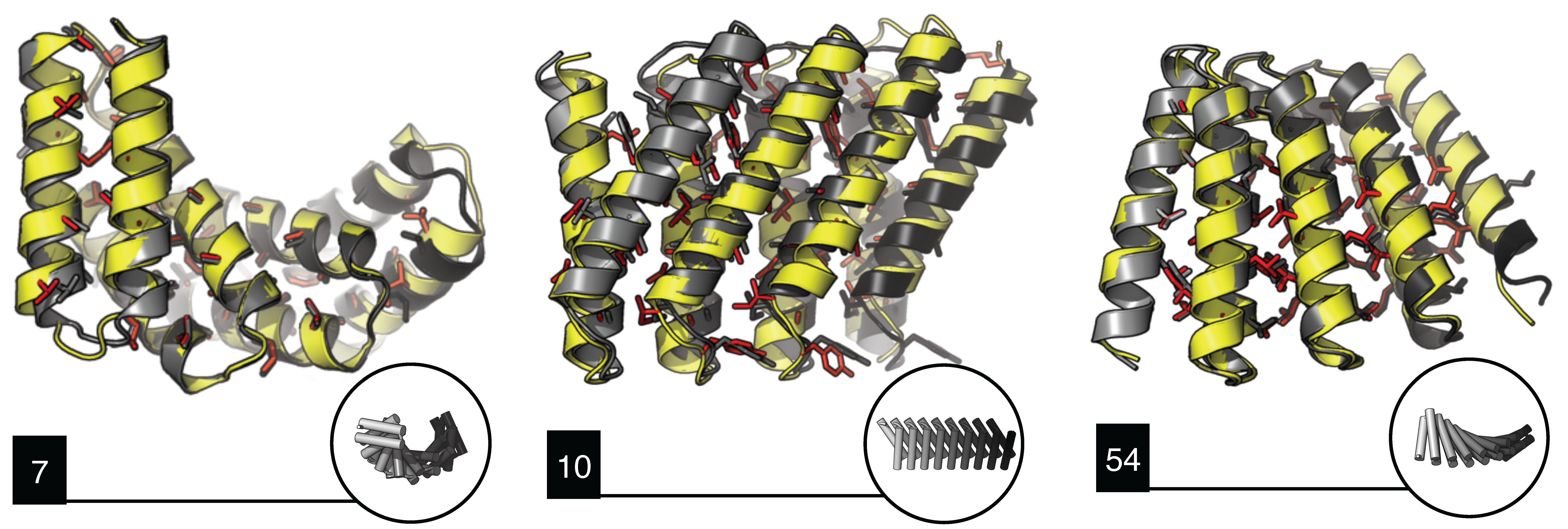 Exploring the repeat protein universe through computational protein design