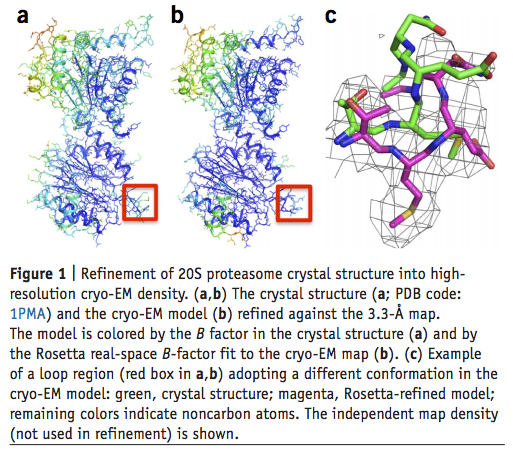 Atomic-accuracy models from 4.5-Å cryo-electron microscopy data with density-guided iterative local refinement
