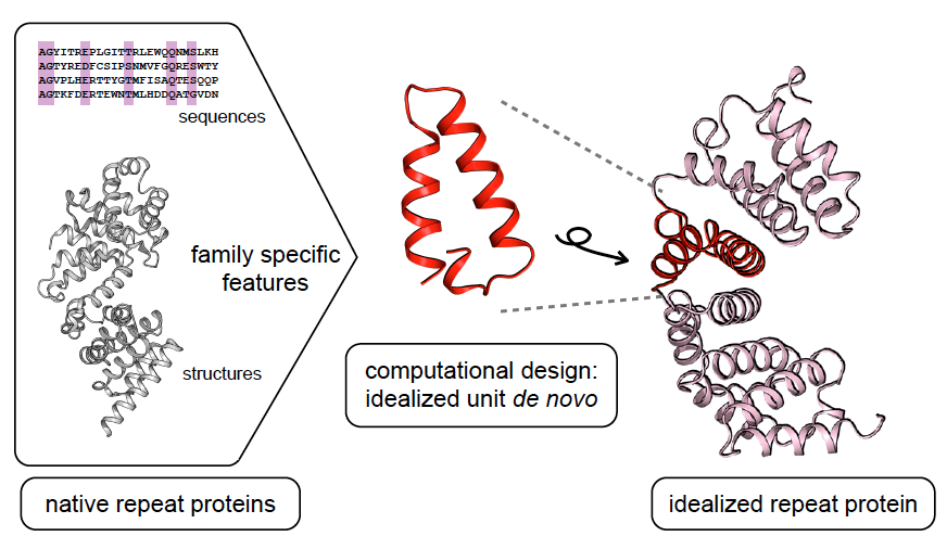 A general computational approach for repeat protein design