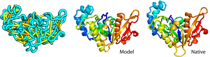Large-scale determination of previously unsolved protein structures using evolutionary information