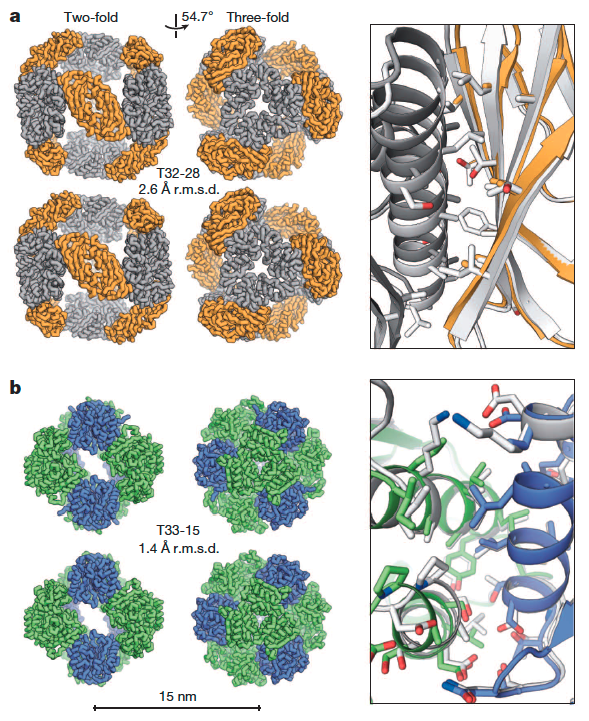 Accurate design of co-assembling multi-component protein nanomaterials
