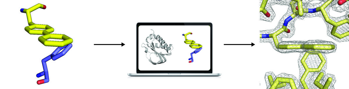 Trapping a transition state in a computationally designed protein bottle