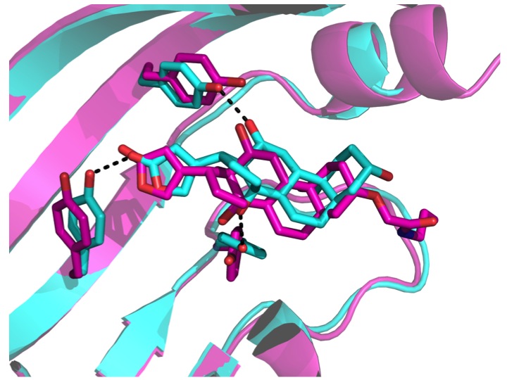 Computational design of ligand-binding proteins with high affinity and selectivity