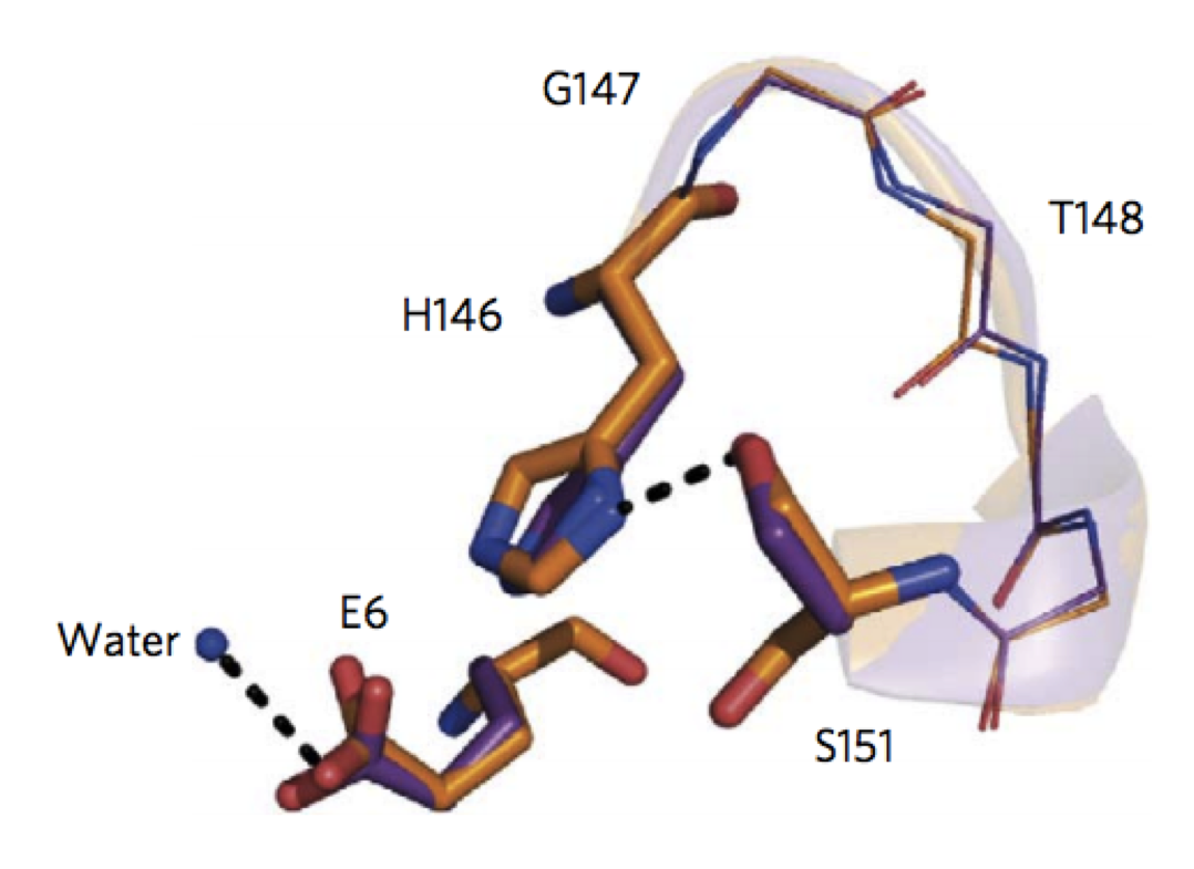 Design of activated serine-containing catalytic triads with atomic-level accuracy