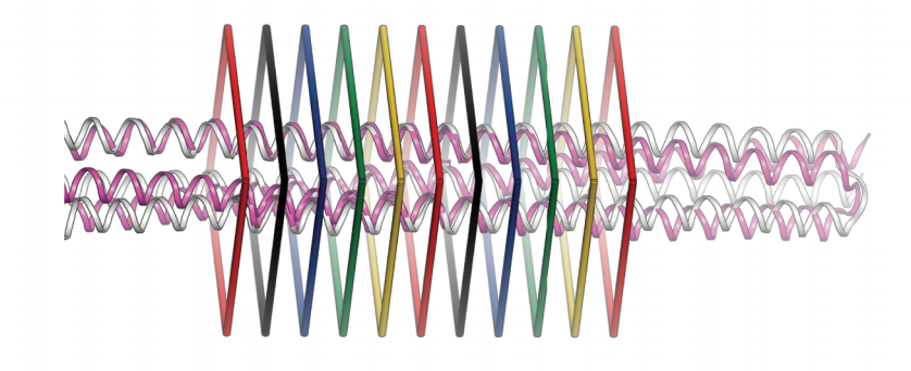 High thermodynamic stability of parametrically designed helical bundles