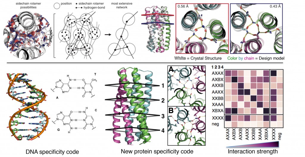 Boyken_Science_2016_summary_figure