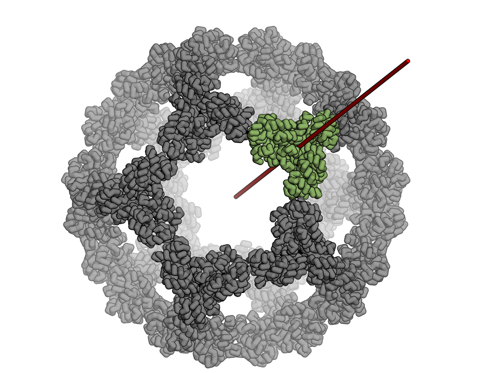 Design of a hyperstable 60-subunit protein icosahedron
