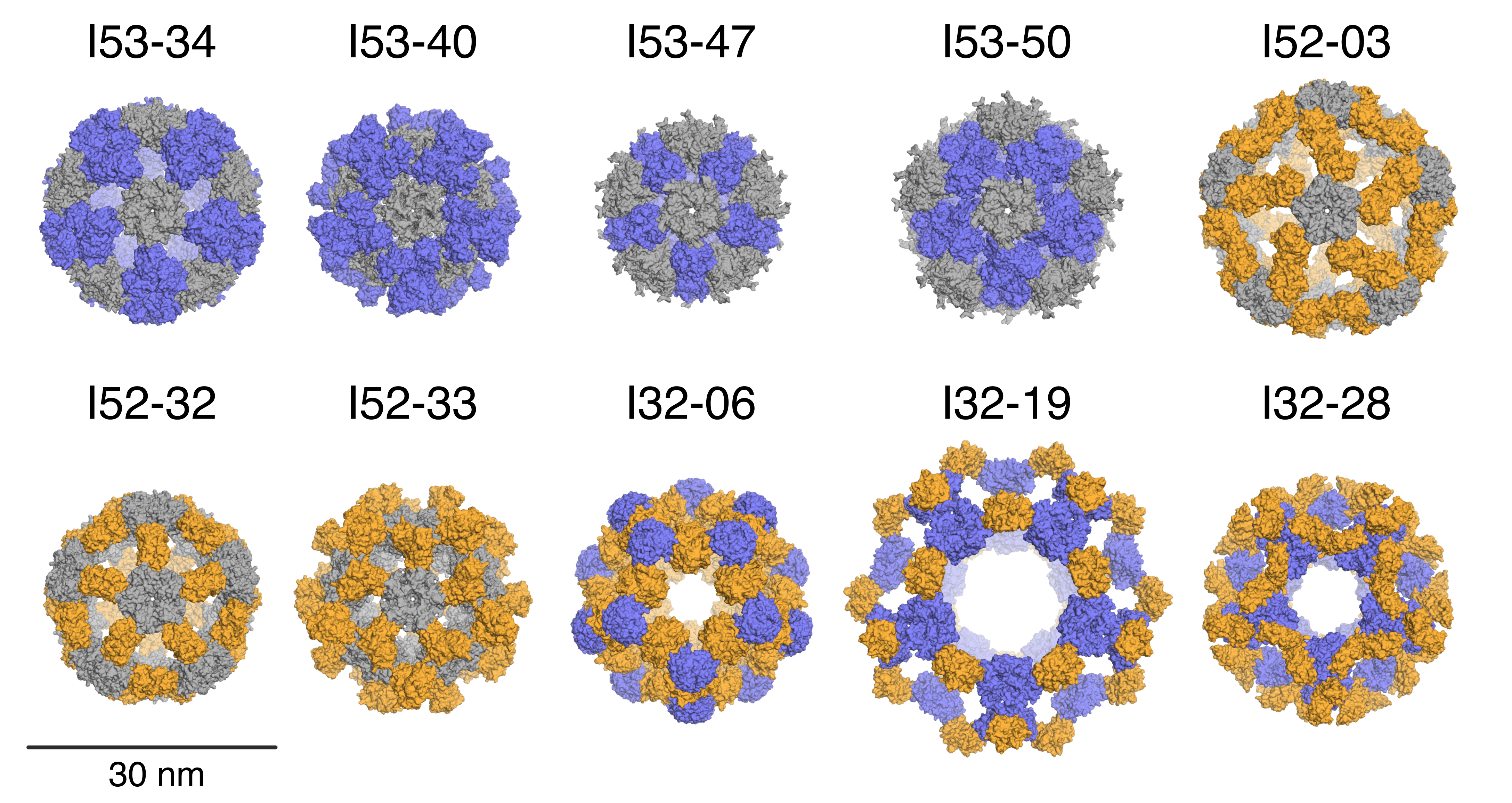 Accurate design of megadalton-scale two-component icosahedral protein  complexes – Baker Lab