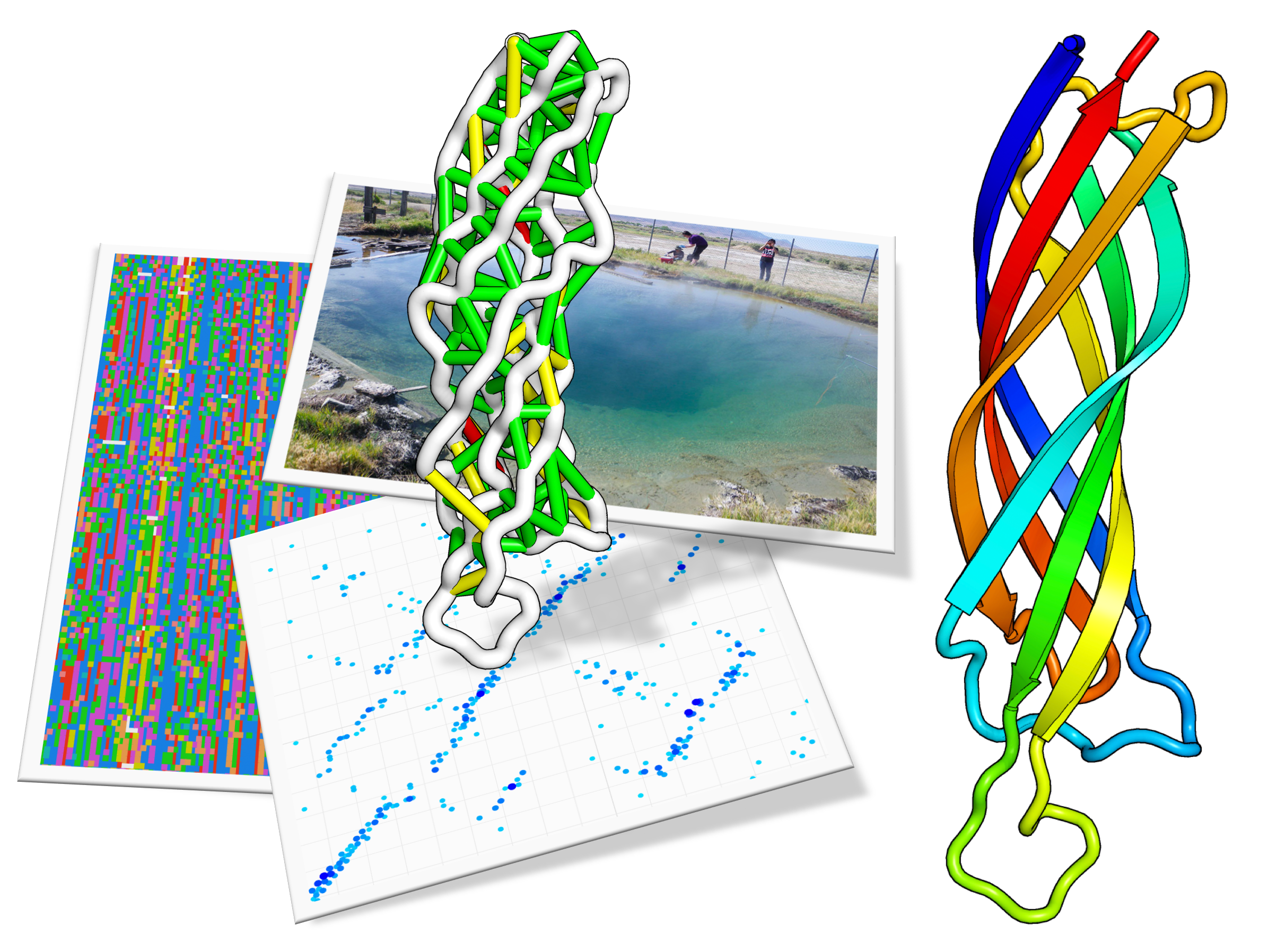 Protein structure determination using metagenome sequence data