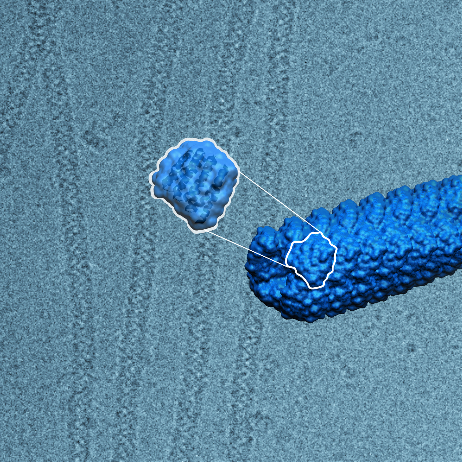 Dynamic filaments from scratch