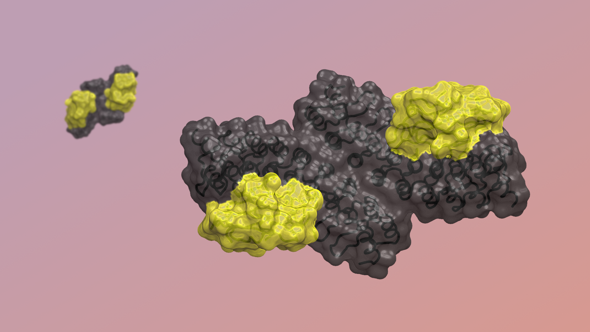 Designed ligands tune cytokine signaling