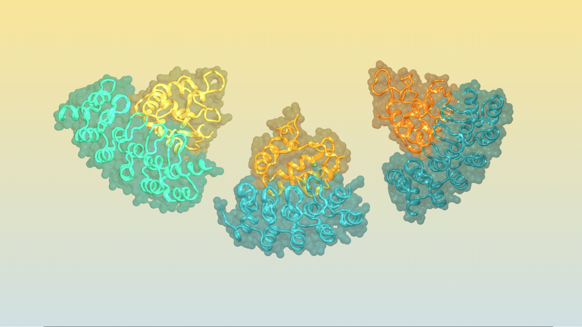 Receptor sub-type binders