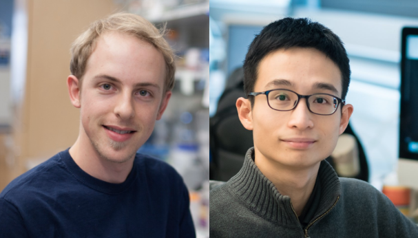 Congrats, Drs. Klima & Shen!