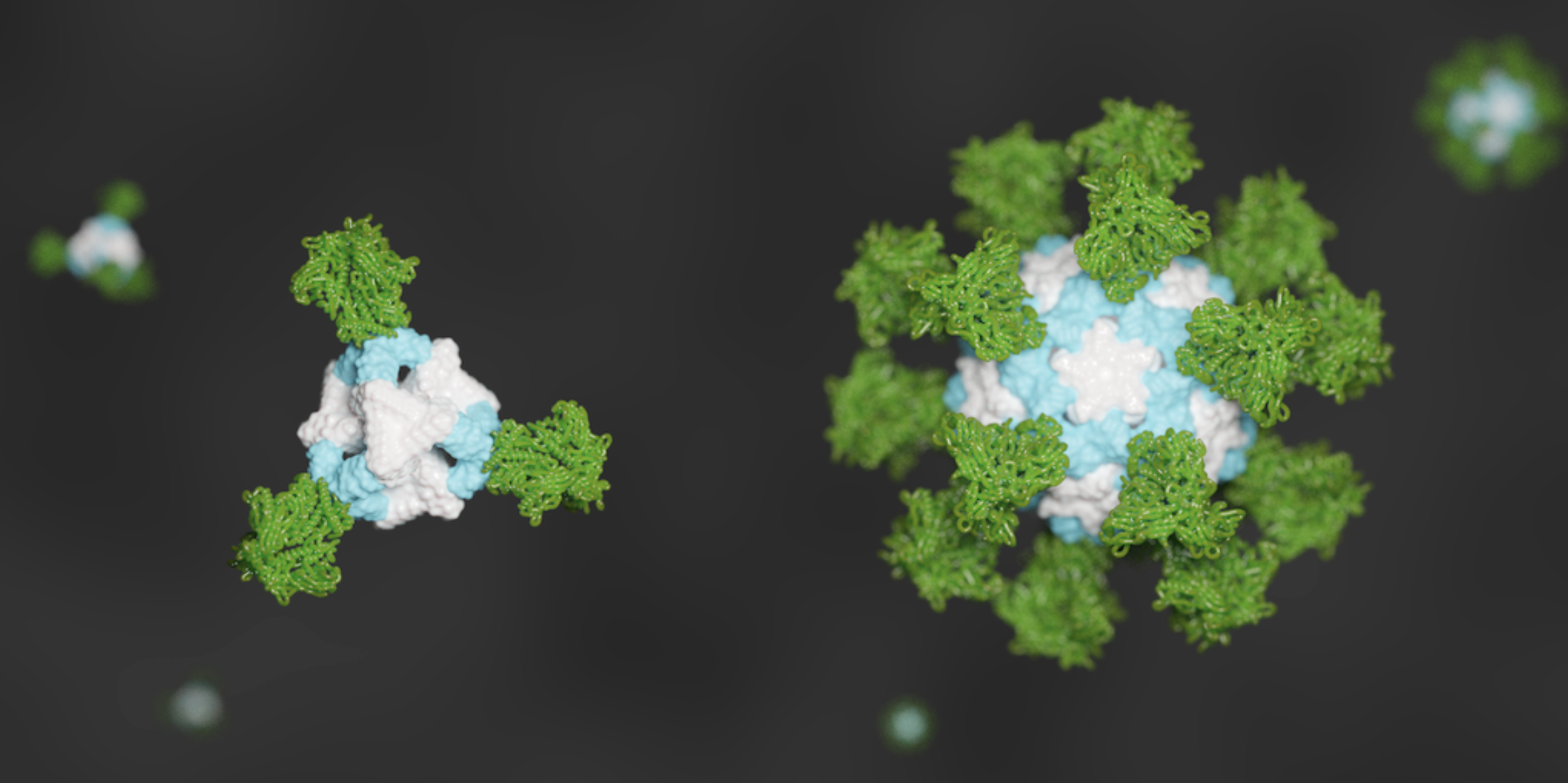 De novo nanoparticles as vaccine scaffolds