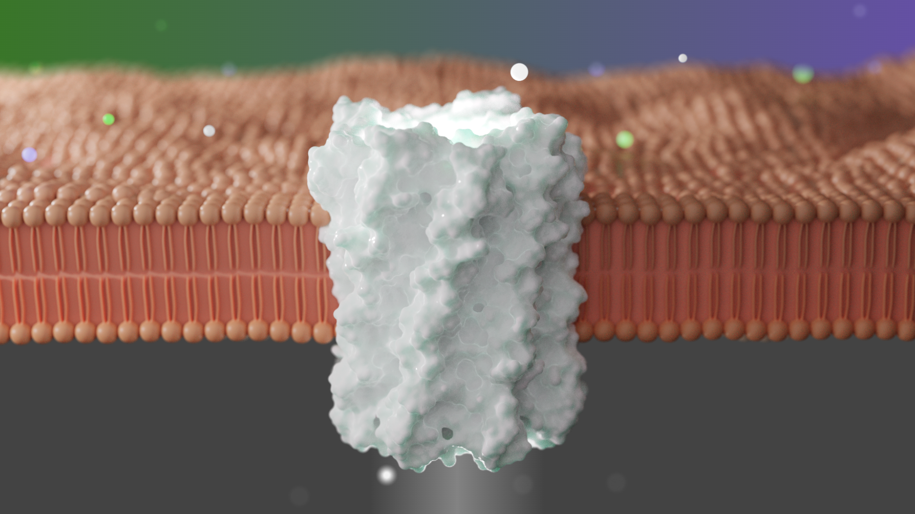 Selective ion channels designed from scratch