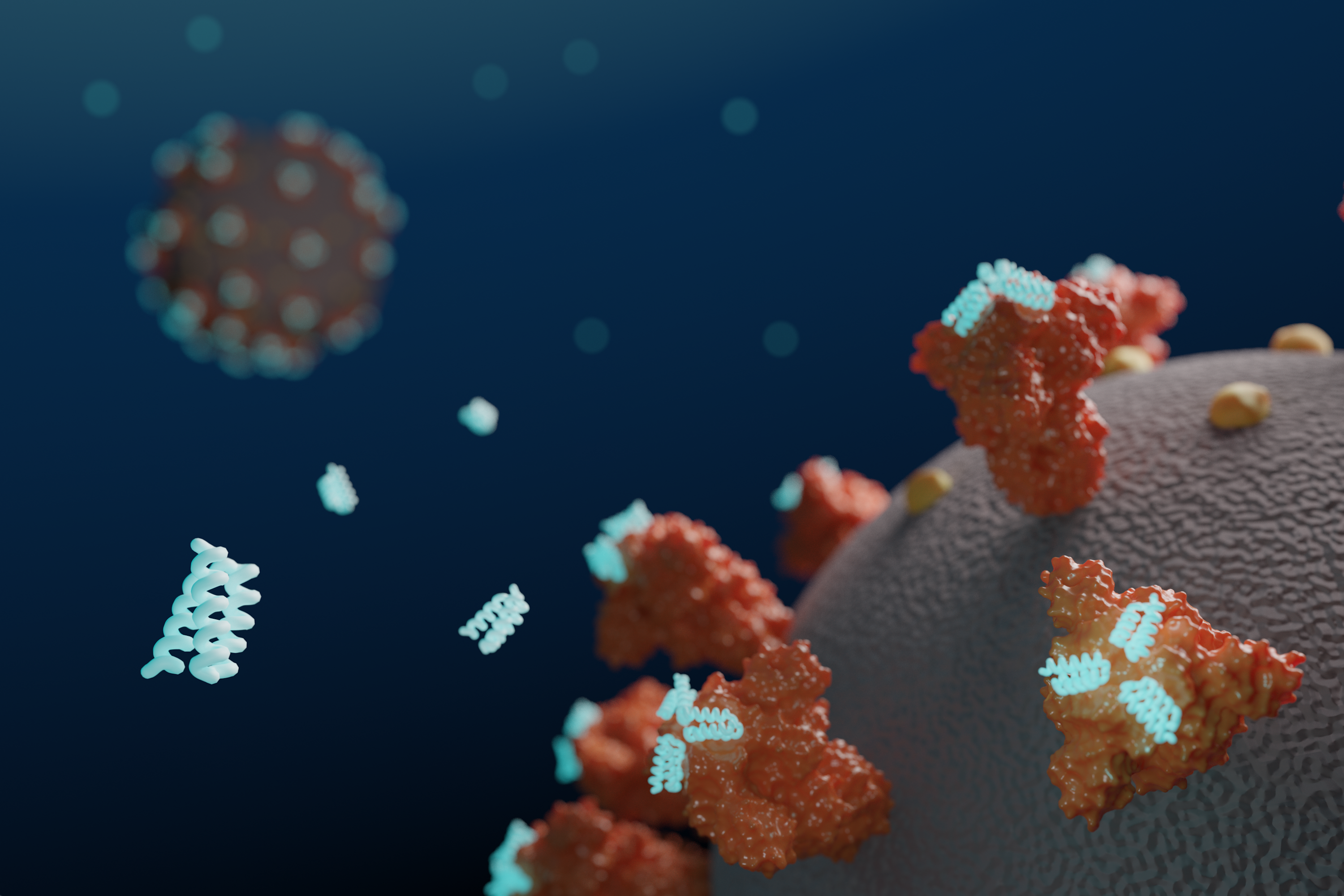 De novo minibinders target SARS-CoV-2 Spike protein