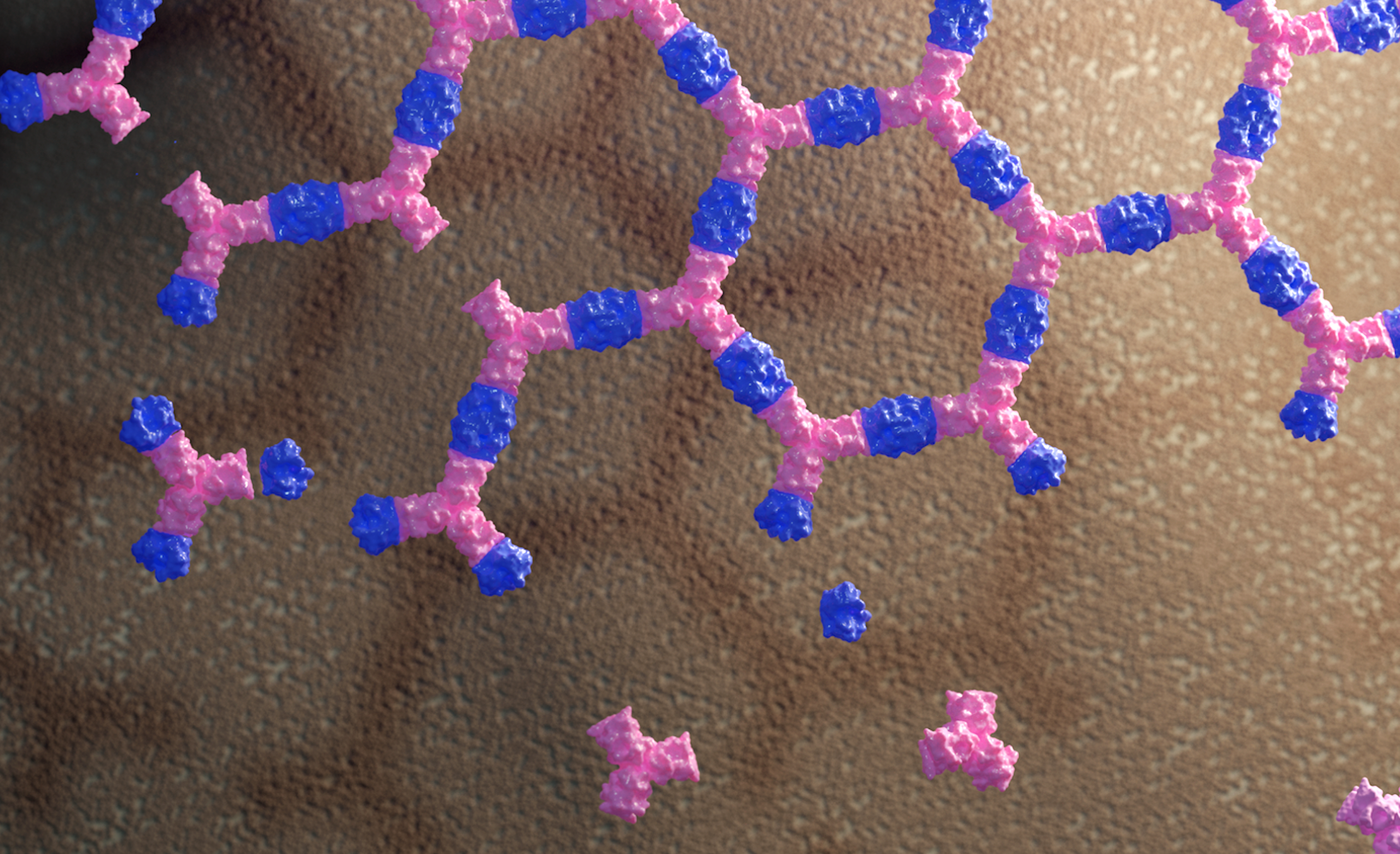 Biologically active 2D arrays