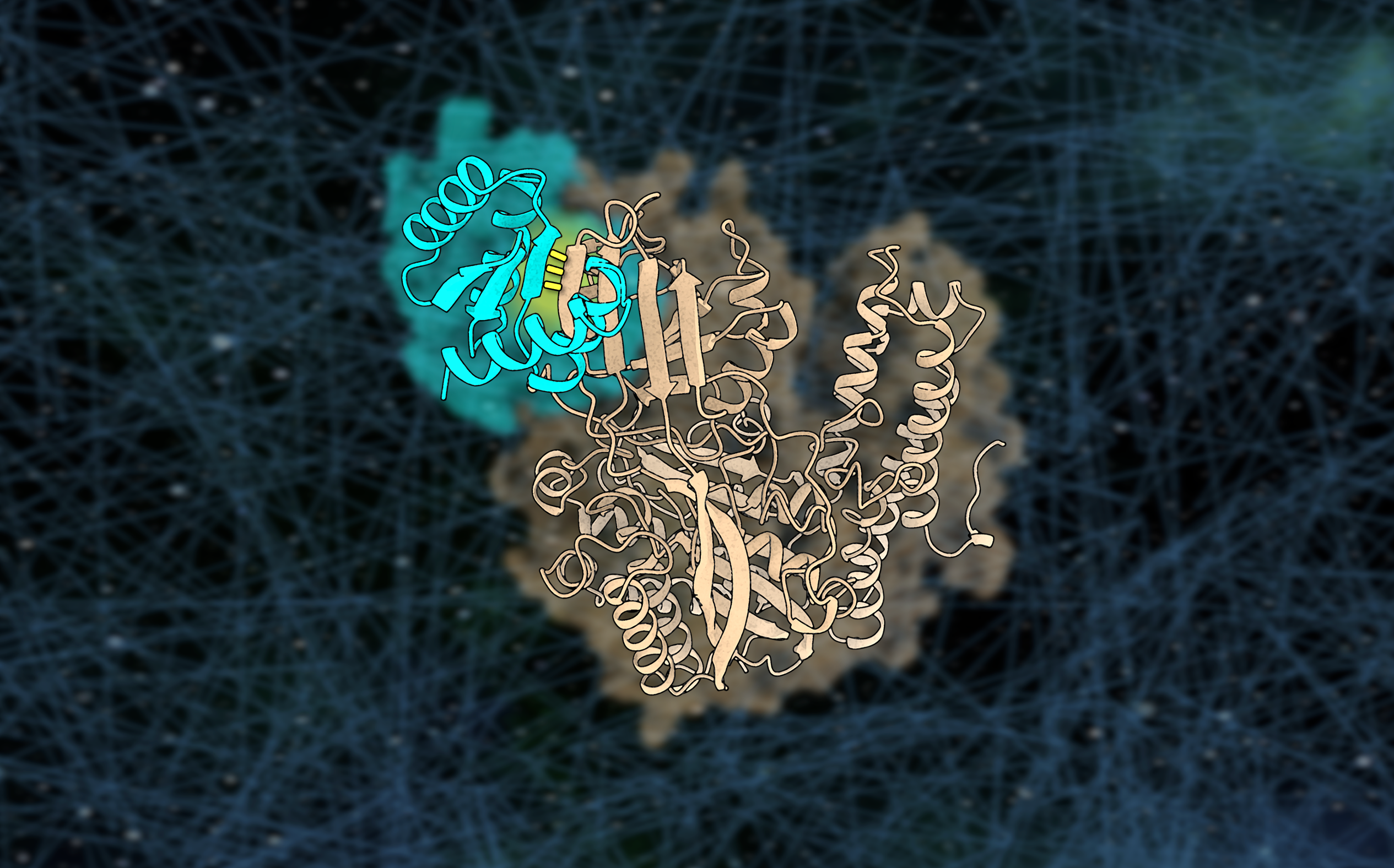 Hitching a ride into the brain