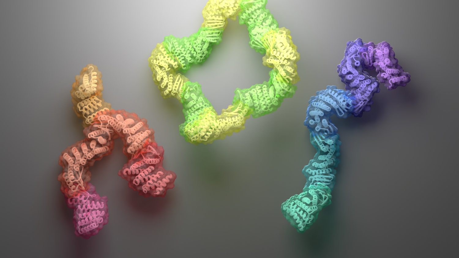 Diverse protein assemblies by (negative) design