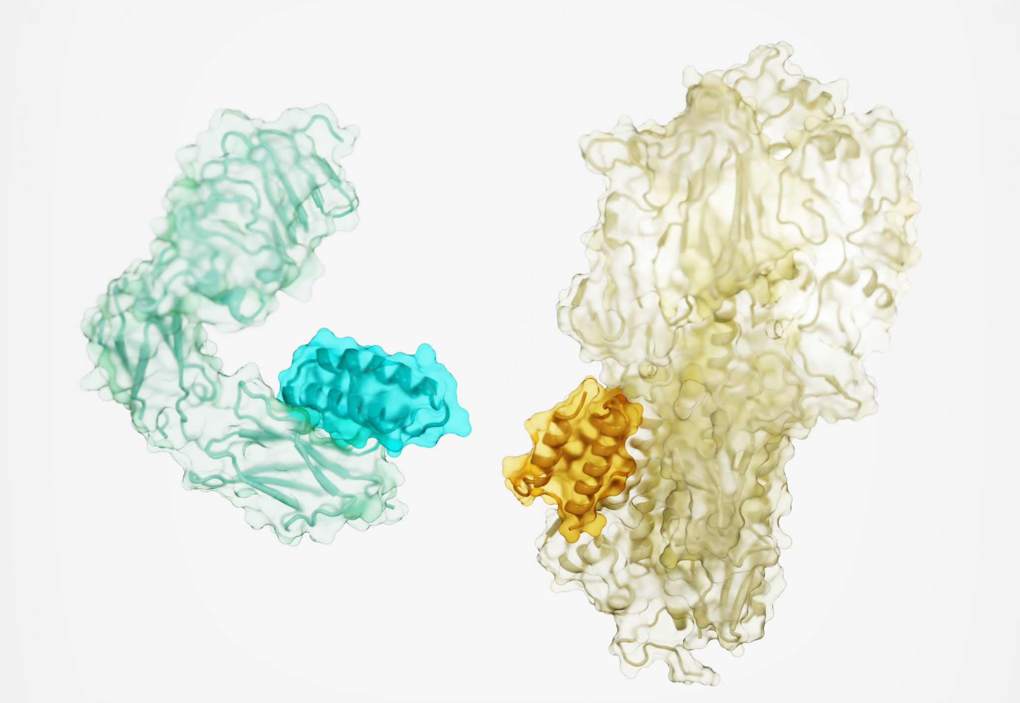 Design of proteins binders from target structure alone Baker Lab