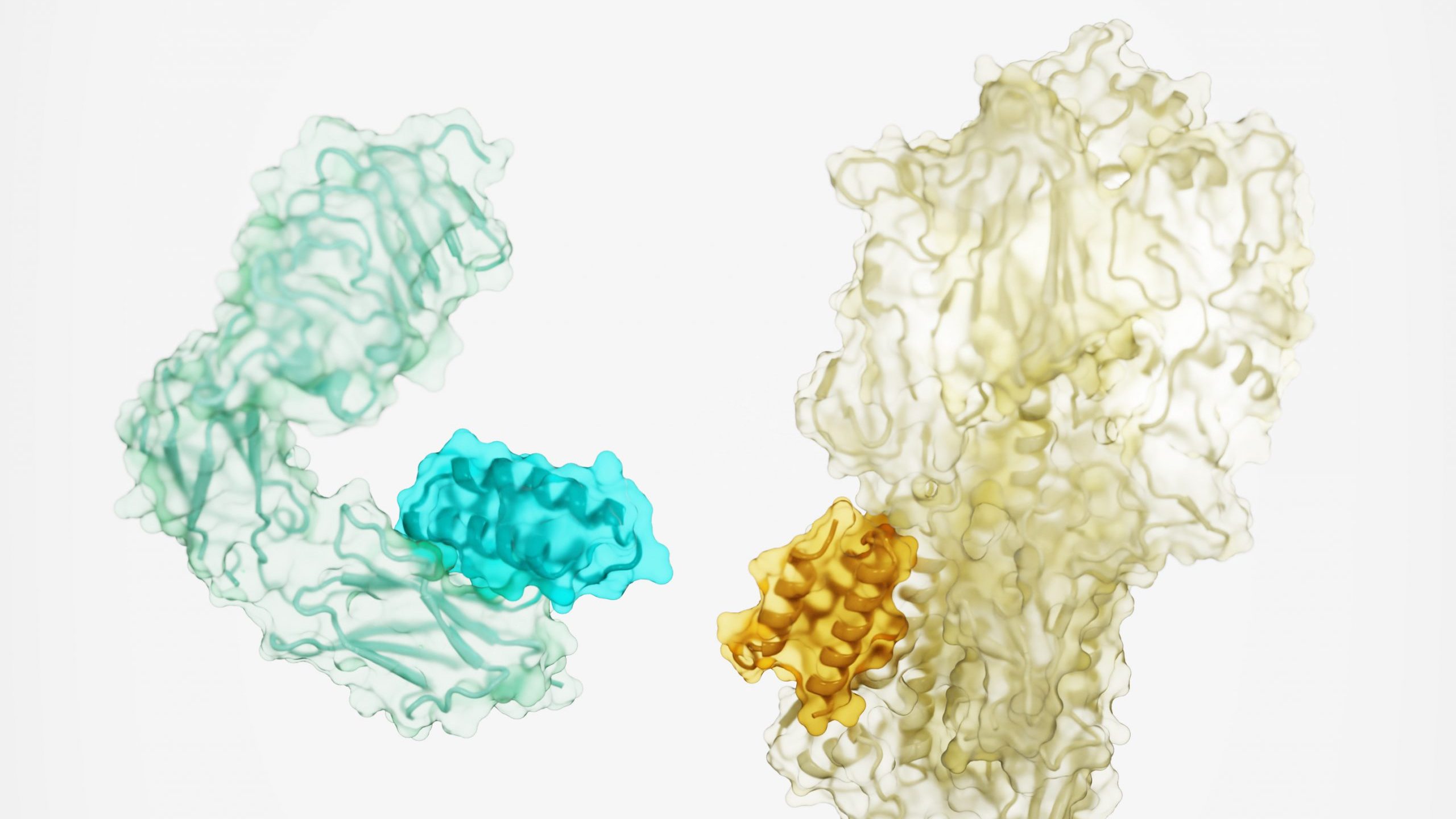 Design of proteins binders from target structure alone