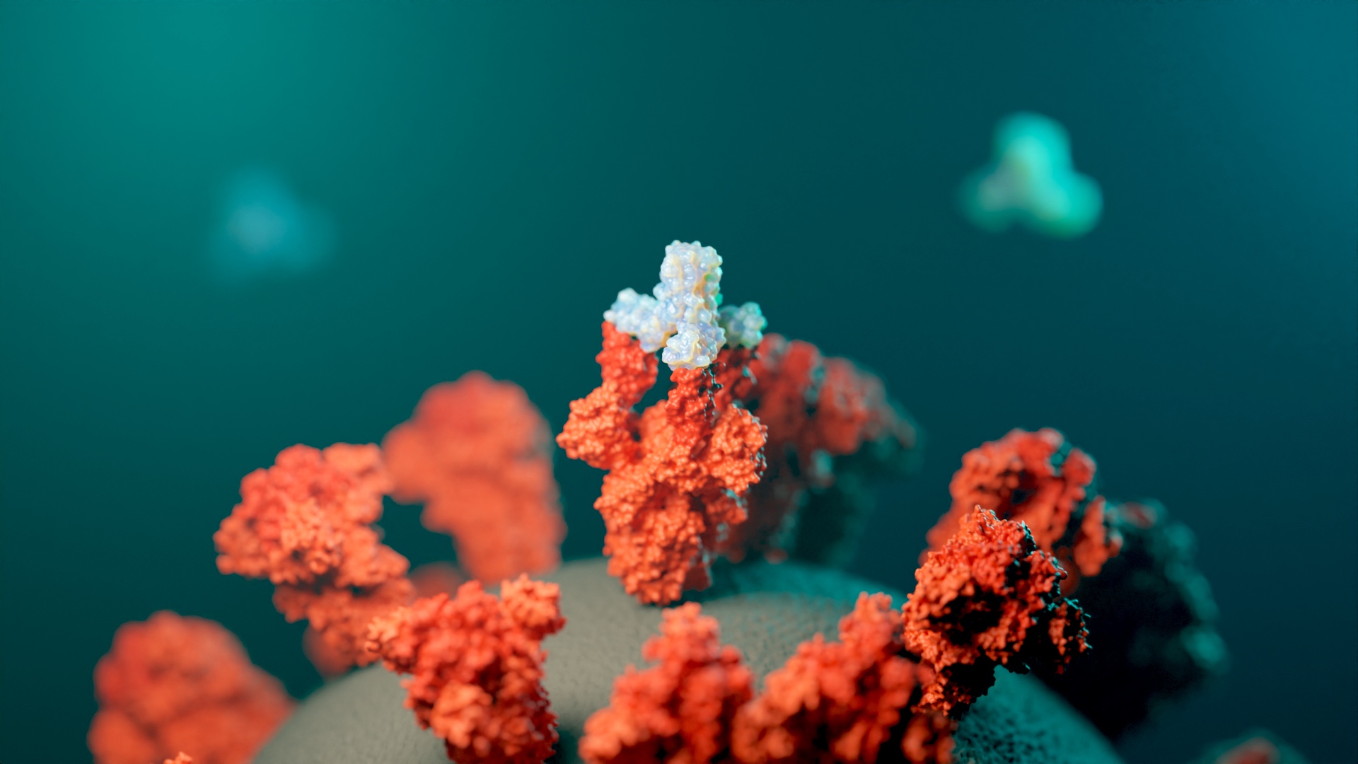 New COVID-19 nasal spray outperforms current antibody treatments in mice