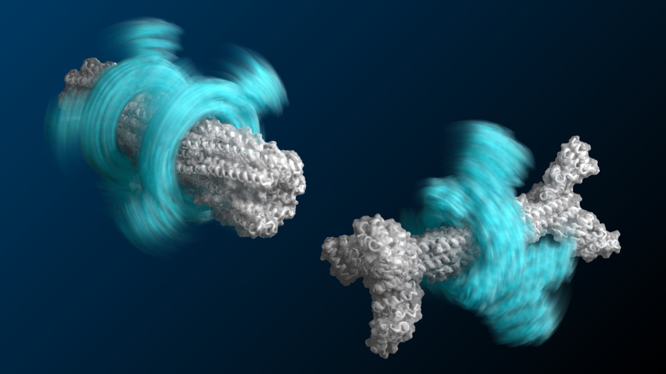 De novo designed rotary proteins
