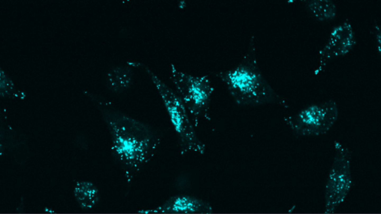 Targeted protein degradation through advanced protein design