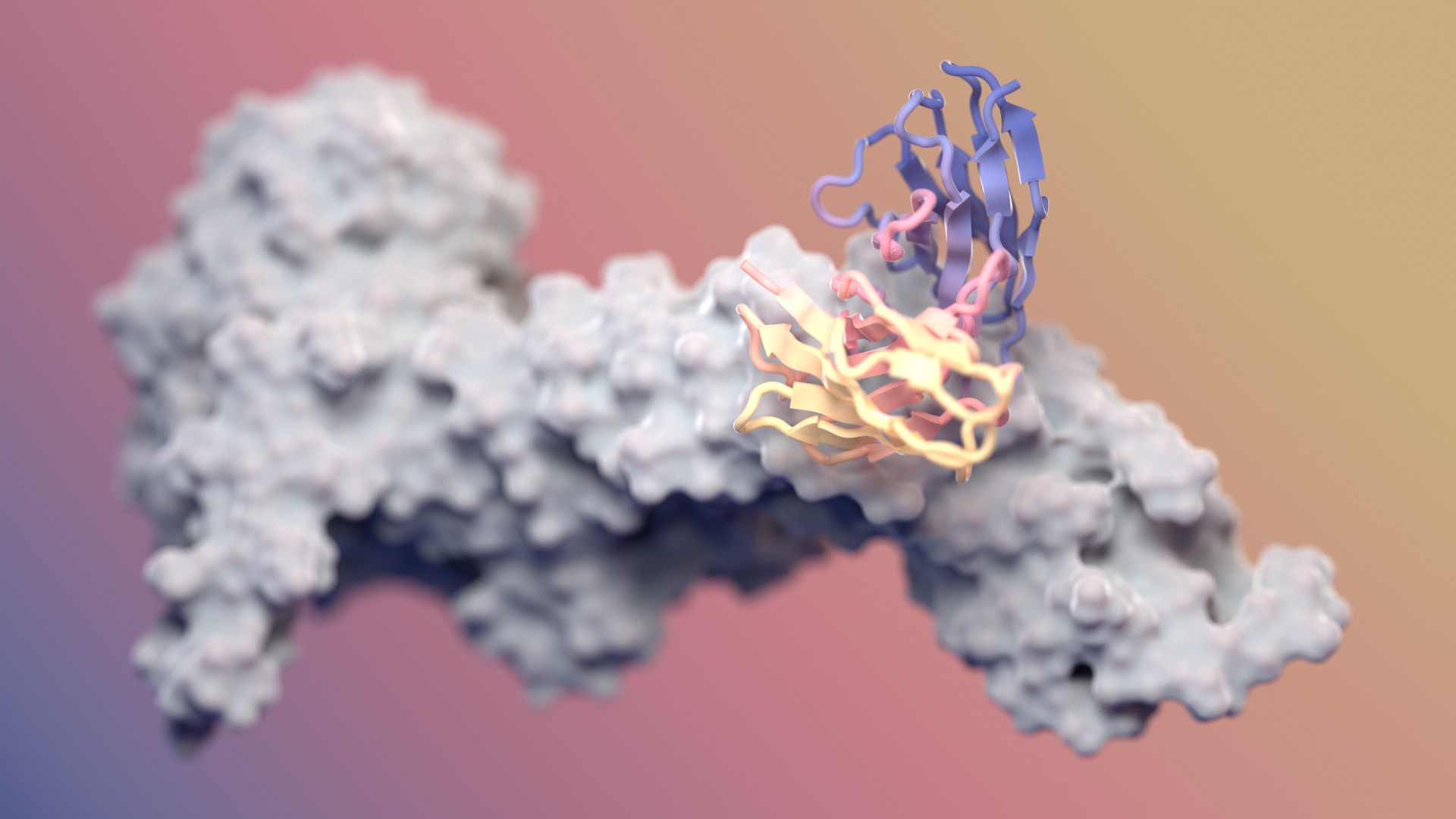 Designing antibodies with RFdiffusion