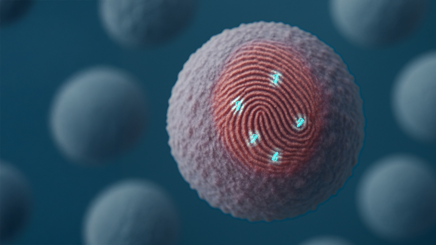 Helping immune cells spot disease